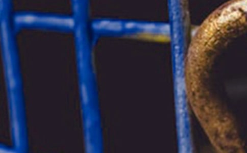 [��(j��ng)��]��F�S���ݳ����ͬ