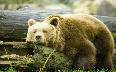 �P�ڹ��ܵ�Ъ���Z