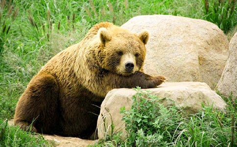 ���܌W(xu��)�Ϙ�(sh��)Ԣ�Թ���