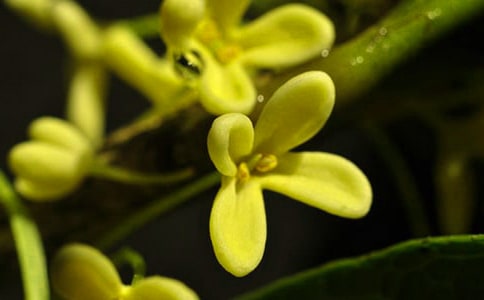 �^����ӛ��400�֣�ͨ��17ƪ��