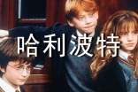 二年級(jí)《哈利波特》讀書筆記(精選30篇)