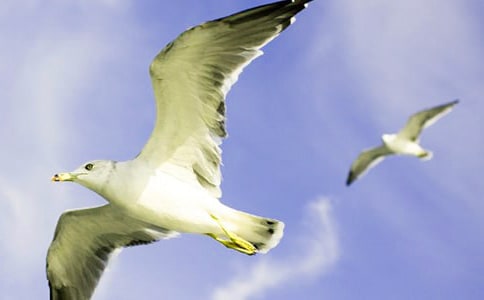 ���t����ͯԒ����