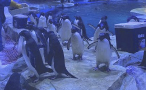 ����ۺ��󹫈@����15ƪ(�])