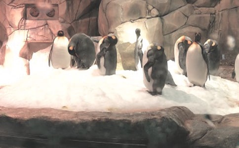 (ͨ��)���󹫈@����3ƪ