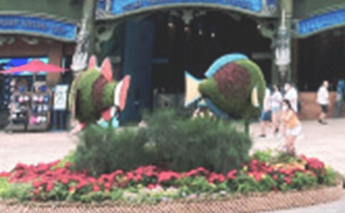 �����ĺ��󹫈@����