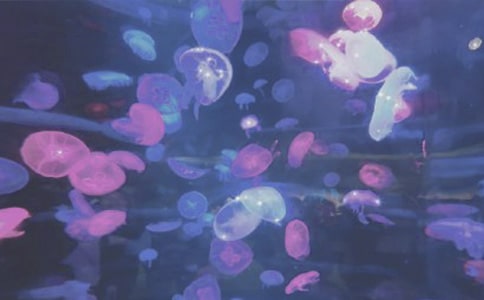 ���[���󹫈@������