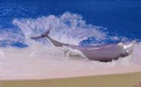 ���������300�֣����x41ƪ��