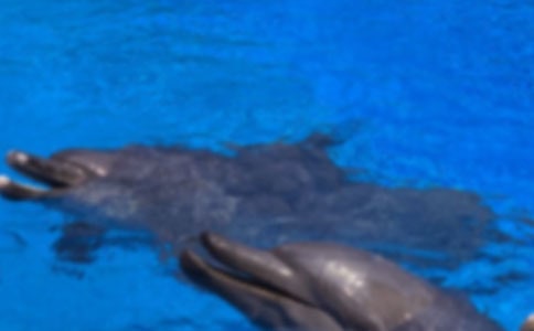 �����еĺ����(d��ng)�ﺣ������