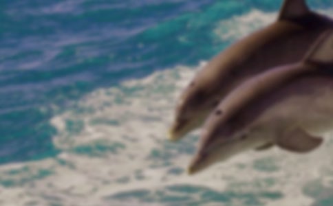 ���������400��