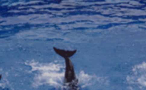 ��B���������400��