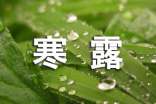 寒露節(jié)氣習(xí)俗作文(精選21篇)