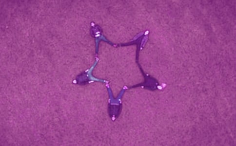 �����]����������600��3ƪ