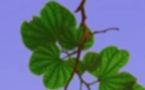 �����C������[�]]