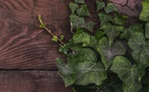 �ѐ��ǜ�ܰ���C������