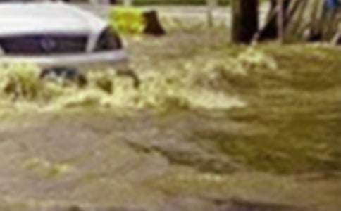 洪水中的爸爸作文