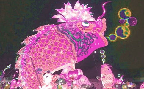 �P�ڻ����ă�(y��u)������