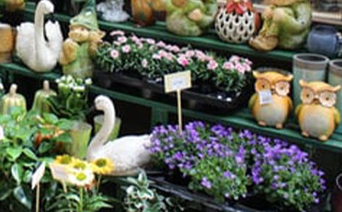 ���ꄓ(chu��ng)�I(y��)Ӌ(j��)����(sh��)���\��15ƪ��