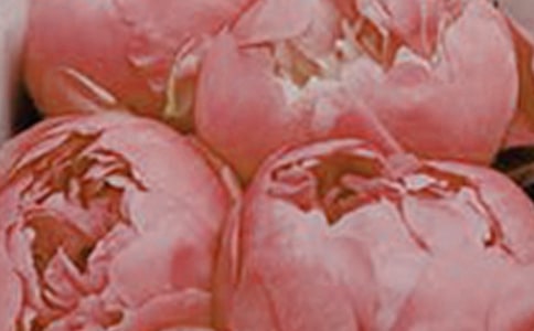 ����ʢ�_�Ļ���ӛ����600��