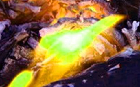 �ᷨ���Ṥˇ�^�̻��(z��i)��ըΣ�U����