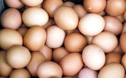 �u��ļҳ����������x8ƪ��