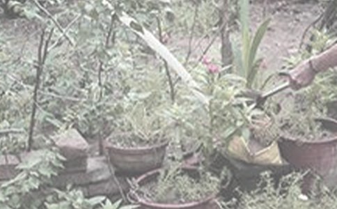 ��������400�֣�ͨ��21ƪ��