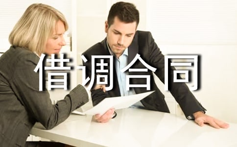 網(wǎng)絡(luò)管理工程師借調(diào)合同