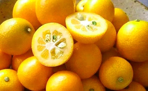 �u��۵��Ϡ�������