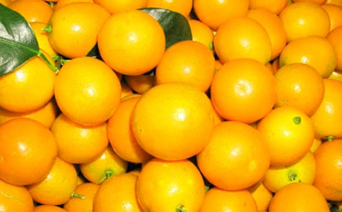 金桔作文600字合集九篇