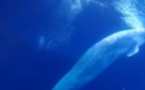 �������ģ��L�~���U(xi��n)