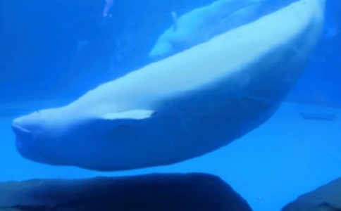 �L�~(y��)����600�֣����x30ƪ��