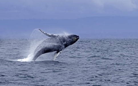 �L�~������400����ƪ