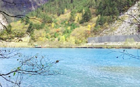 �����ľ�կ�����Č��á�15ƪ��