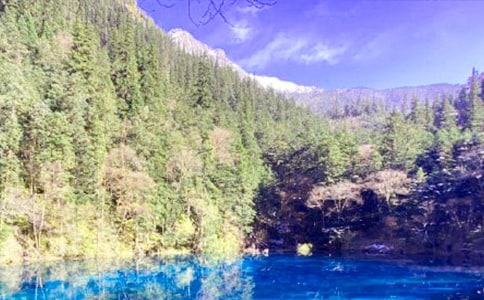 �����ľ�կ������(��)