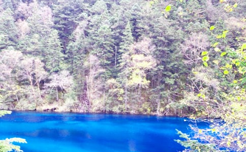 �����ľ�կ������15ƪ(����)