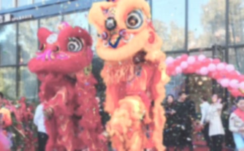 2016��˾�_�I(y��)��Y�R�~