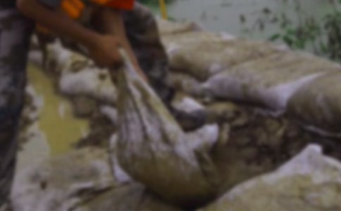 部隊抗洪救災(zāi)宣傳標(biāo)語