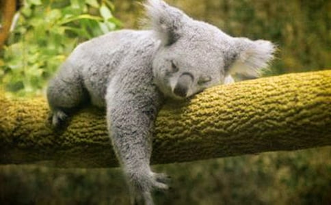 ��������600�֣�ͨ��10ƪ��