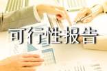 可行性報(bào)告書(shū)