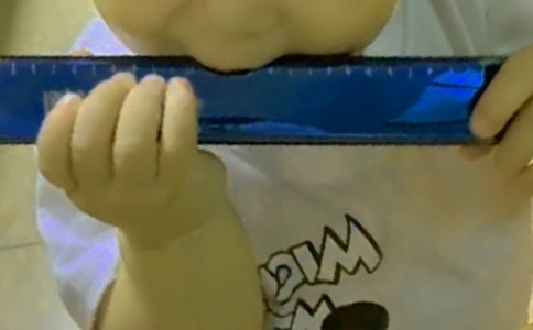 瓶子口琴作文300字