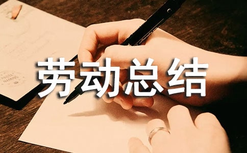 跟班勞動總結(jié)(通用5篇)