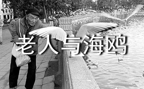 �������c���t���x���(10ƪ)