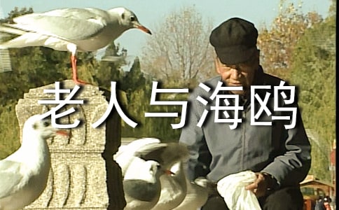 �������c���t�����x��з��ģ�ͨ��6ƪ��