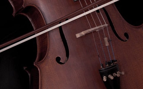 �����ŵ䘷������Щ