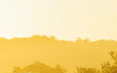 ΢Ц��ӭ��(l��i)������������