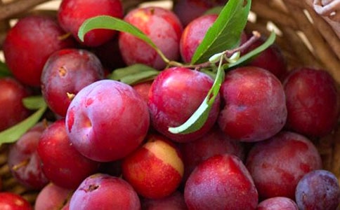 ���ӵĠI(y��ng)�B(y��ng)�r(ji��)ֵ�cʳ�ù�Ч