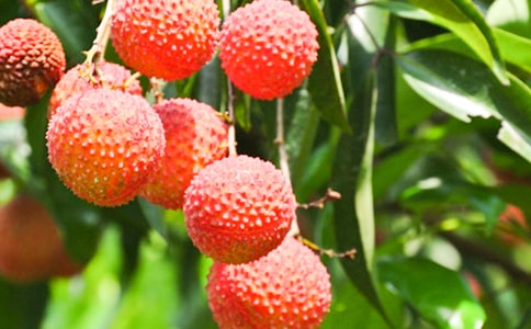 �Ґ۹��l(xi��ng)����֦����(����3ƪ)