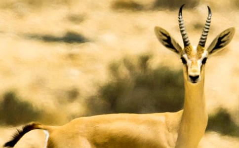 ������Ĺ���m(x��)������900��