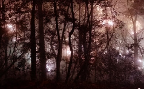 ����,�賿4�c(di��n)��Ą�(l��)־����