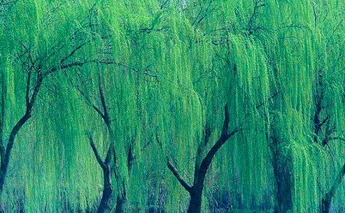 �茑�������������