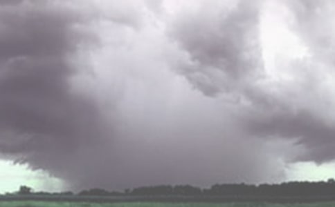 龍卷風(fēng)小學(xué)作文